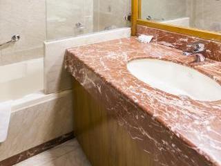 Hotel Aurora Towers Pune