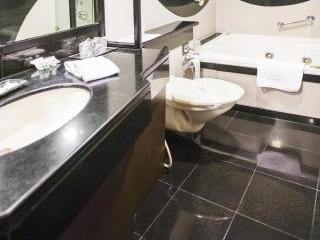 Aurora Towers 4* Pune